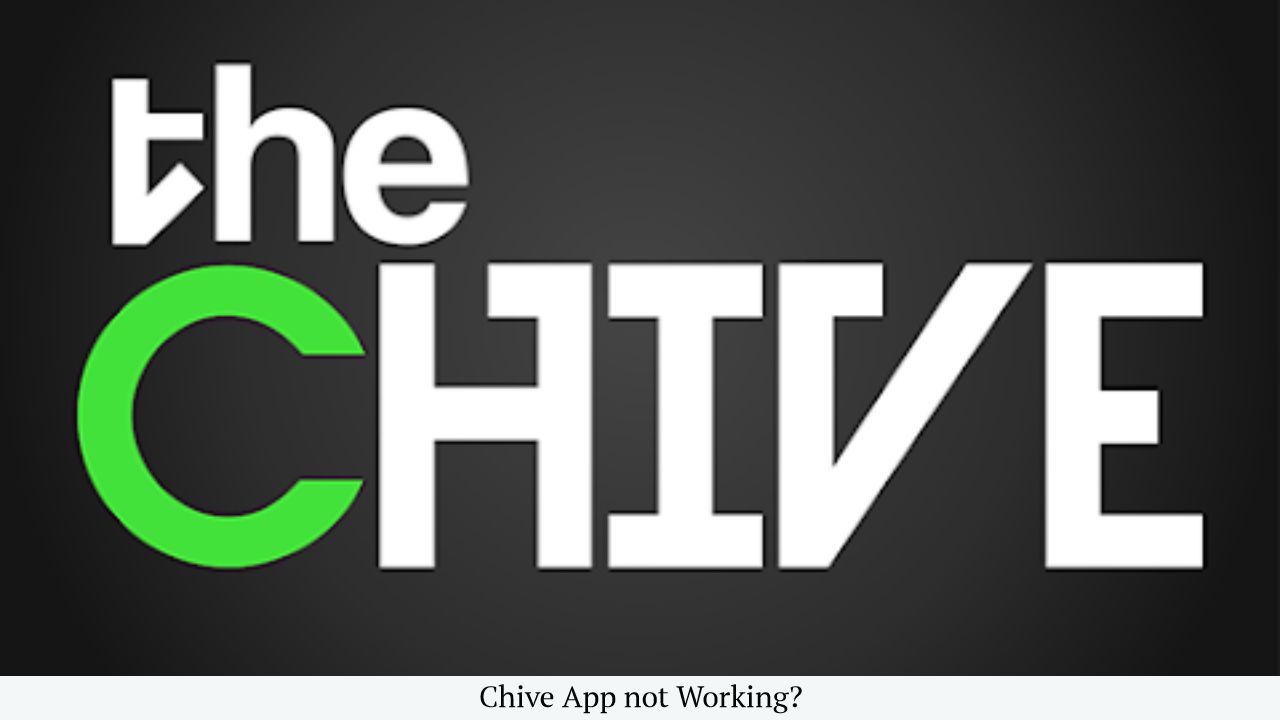 Chive App not working