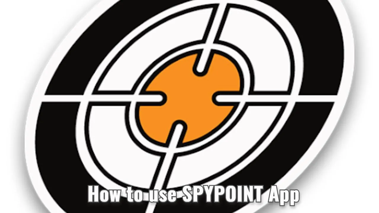 How to use SPYPOINT App