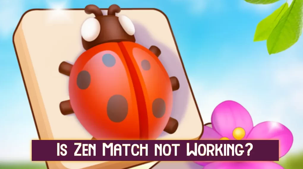 Fix Zen Match app not working issue