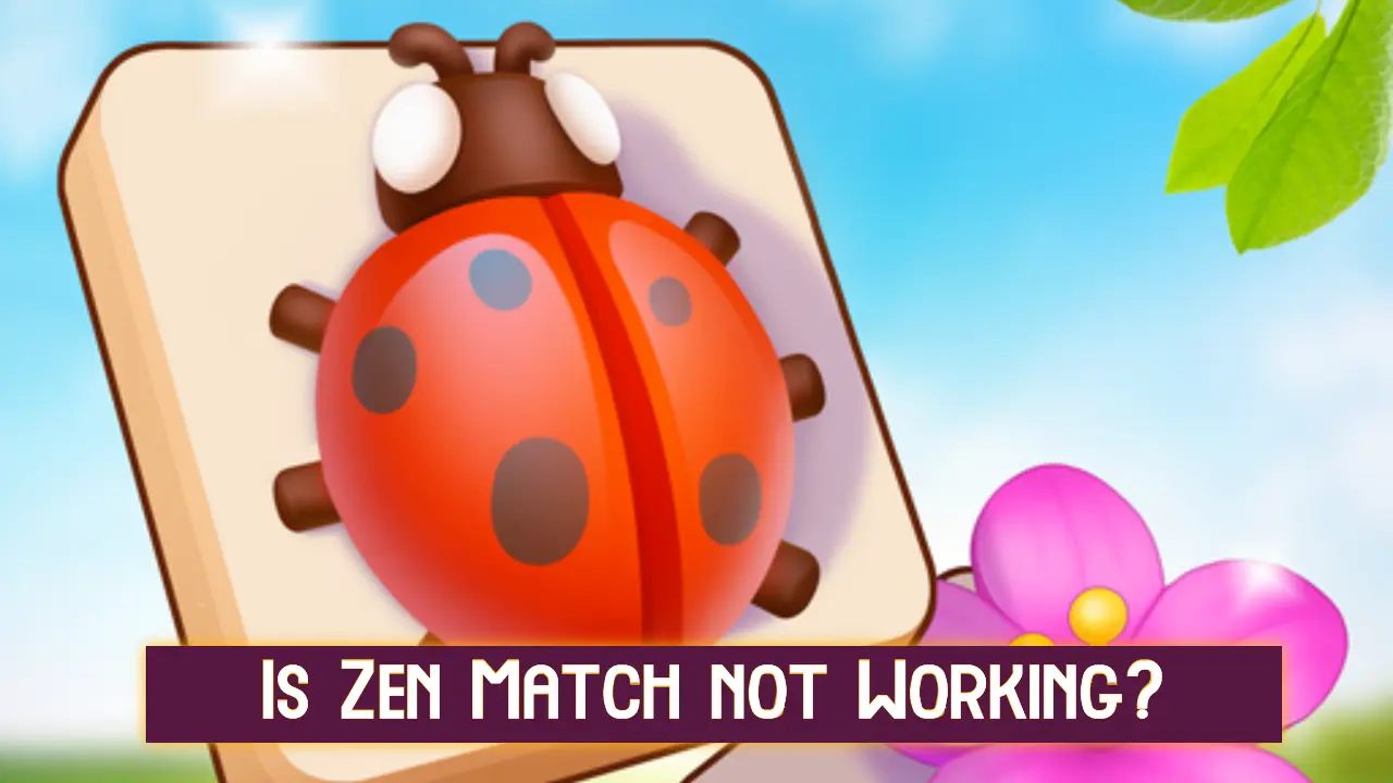 Fix Zen Match app not working issue
