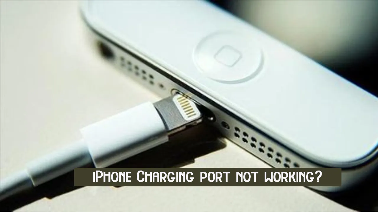 iPhone Charging port not working