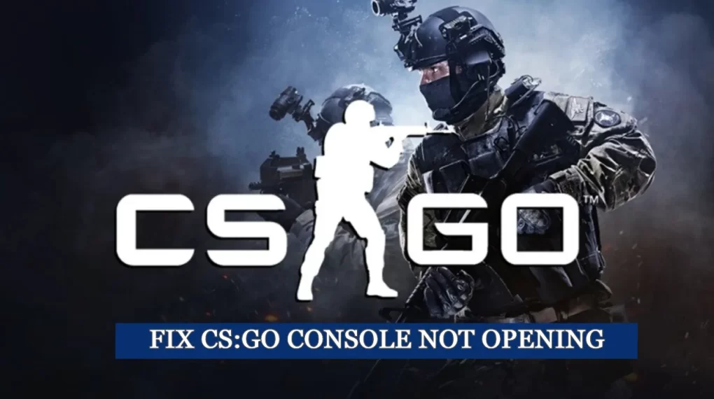 Fix CS:Go Console not Opening