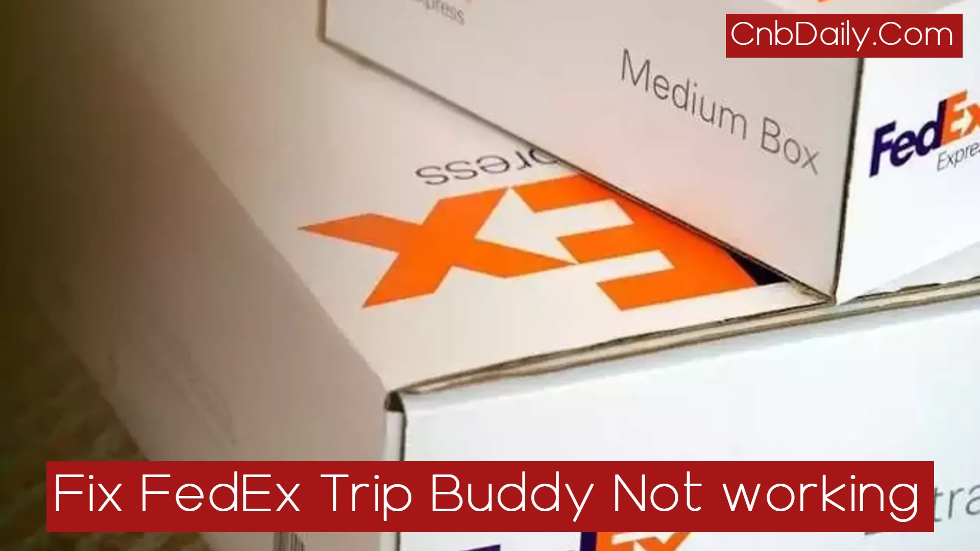 Fix Fedex Trip buddy app not working